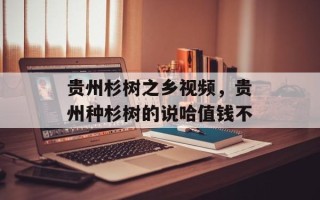 贵州杉树之乡视频，贵州种杉树的说哈值钱不