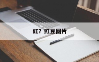 豇？豇豆图片