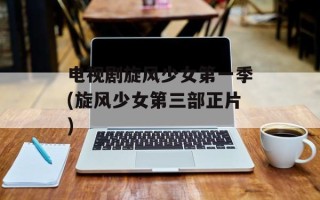 电视剧旋风少女第一季(旋风少女第三部正片)