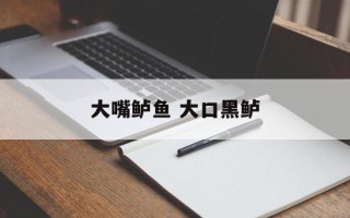 大嘴鲈鱼 大口黑鲈