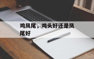 鸡凤尾，鸡头好还是凤尾好
