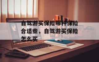 自驾游买保险哪种保险合适些，自驾游买保险怎么买