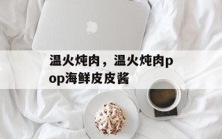 温火炖肉，温火炖肉pop海鲜皮皮酱