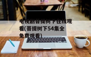 电视剧菩提树下在线观看(菩提树下54集全免费观看)