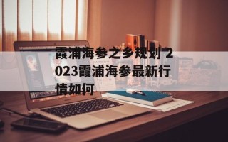 霞浦海参之乡规划 2023霞浦海参最新行情如何