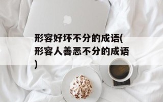 形容好坏不分的成语(形容人善恶不分的成语)