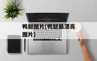 鸭腿图片(鸭腿最漂亮图片)