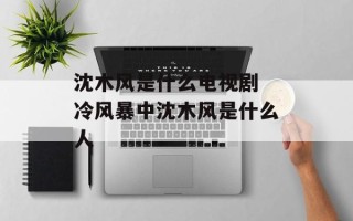 沈木风是什么电视剧 冷风暴中沈木风是什么人