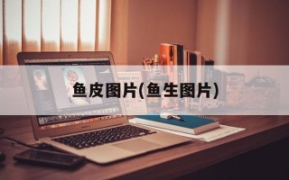 鱼皮图片(鱼生图片)