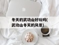 冬天的武功山好玩吗(武功山冬天的风景)