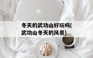 冬天的武功山好玩吗(武功山冬天的风景)