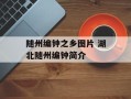 随州编钟之乡图片 湖北随州编钟简介