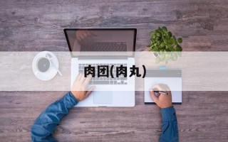 肉团(肉丸)