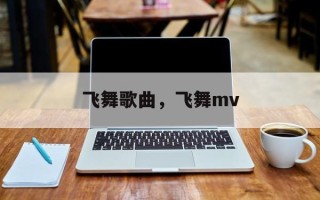 飞舞歌曲，飞舞mv