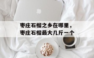 枣庄石榴之乡在哪里，枣庄石榴最大几斤一个