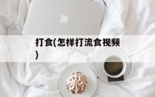打食(怎样打流食视频)