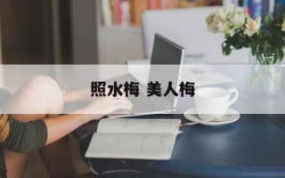 照水梅 美人梅