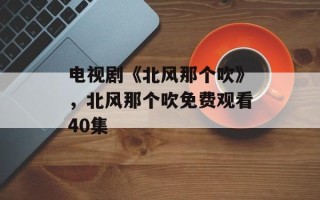 电视剧《北风那个吹》，北风那个吹免费观看40集