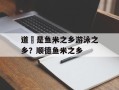 道滘是鱼米之乡游泳之乡？顺德鱼米之乡