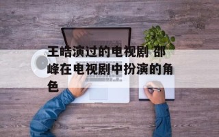 王皓演过的电视剧 邵峰在电视剧中扮演的角色