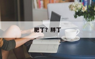 肥丁？胖丁