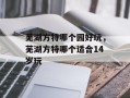 芜湖方特哪个园好玩，芜湖方特哪个适合14岁玩