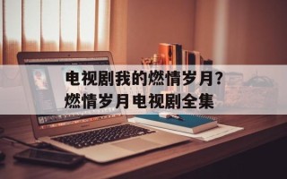 电视剧我的燃情岁月？燃情岁月电视剧全集