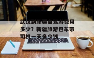 武汉到新疆自驾游费用多少？新疆旅游包车带司机一天多少钱