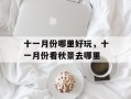 十一月份哪里好玩，十一月份看秋景去哪里