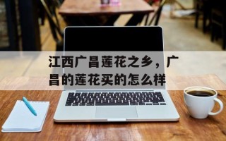 江西广昌莲花之乡，广昌的莲花买的怎么样