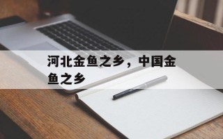 河北金鱼之乡，中国金鱼之乡