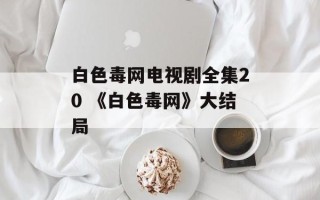 白色毒网电视剧全集20 《白色毒网》大结局