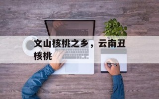 文山核桃之乡，云南丑核桃