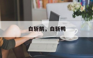 白斩鹅，白斩鸭