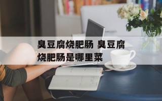 臭豆腐烧肥肠 臭豆腐烧肥肠是哪里菜