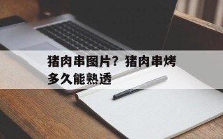 猪肉串图片？猪肉串烤多久能熟透