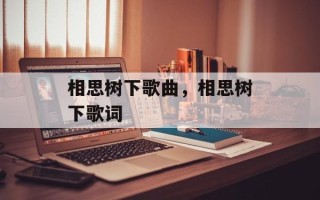 相思树下歌曲，相思树下歌词