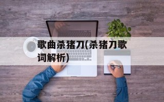 歌曲杀猪刀(杀猪刀歌词解析)