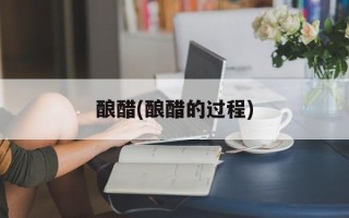 酿醋(酿醋的过程)