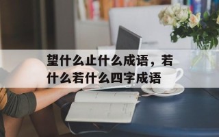 望什么止什么成语，若什么若什么四字成语