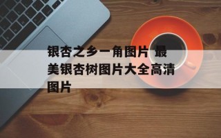 银杏之乡一角图片 最美银杏树图片大全高清图片
