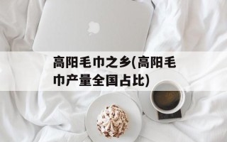 高阳毛巾之乡(高阳毛巾产量全国占比)