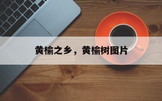 黄榆之乡，黄榆树图片