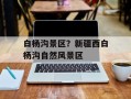 白杨沟景区？新疆西白杨沟自然风景区