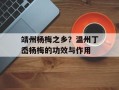 靖州杨梅之乡？温州丁岙杨梅的功效与作用