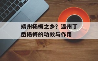 靖州杨梅之乡？温州丁岙杨梅的功效与作用