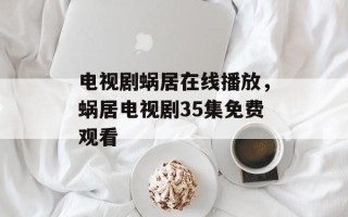 电视剧蜗居在线播放，蜗居电视剧35集免费观看