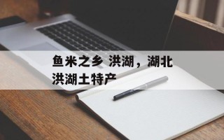 鱼米之乡 洪湖，湖北洪湖土特产
