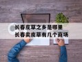 长春皮草之乡是哪里 长春卖皮草有几个商场