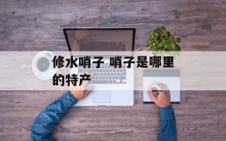 修水哨子 哨子是哪里的特产